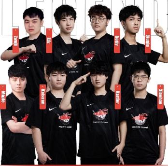 训练和调整 训练和调整