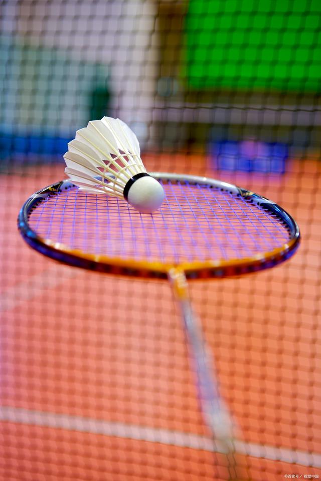 震动的不只 震动的不只