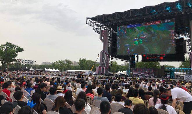 稳健投注 稳健投注